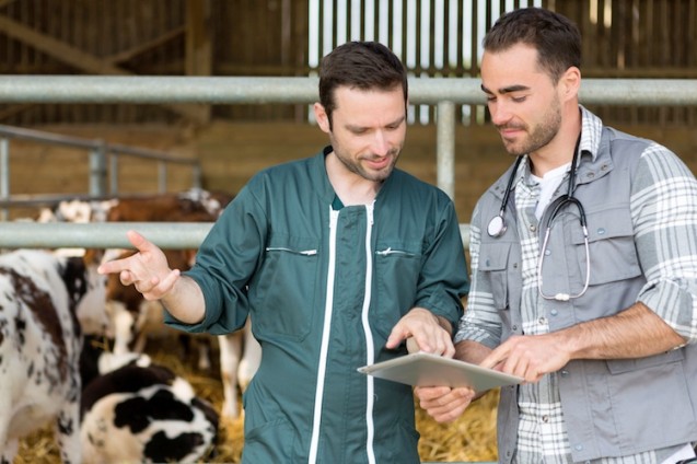 Nuovi LEA di pertinenza veterinaria