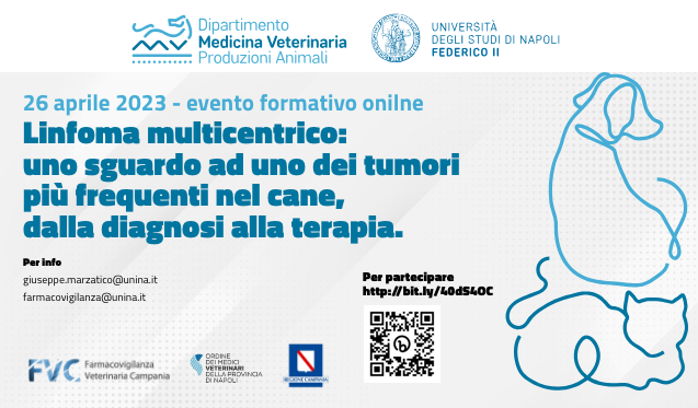 Linfoma multicentrico: uno sguardo ad uno dei tumori più frequenti nel cane, dalla diagnosi alla terapia