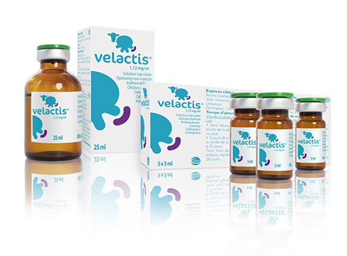 Richiamo dal mercato del medicinale veterinario Velactis